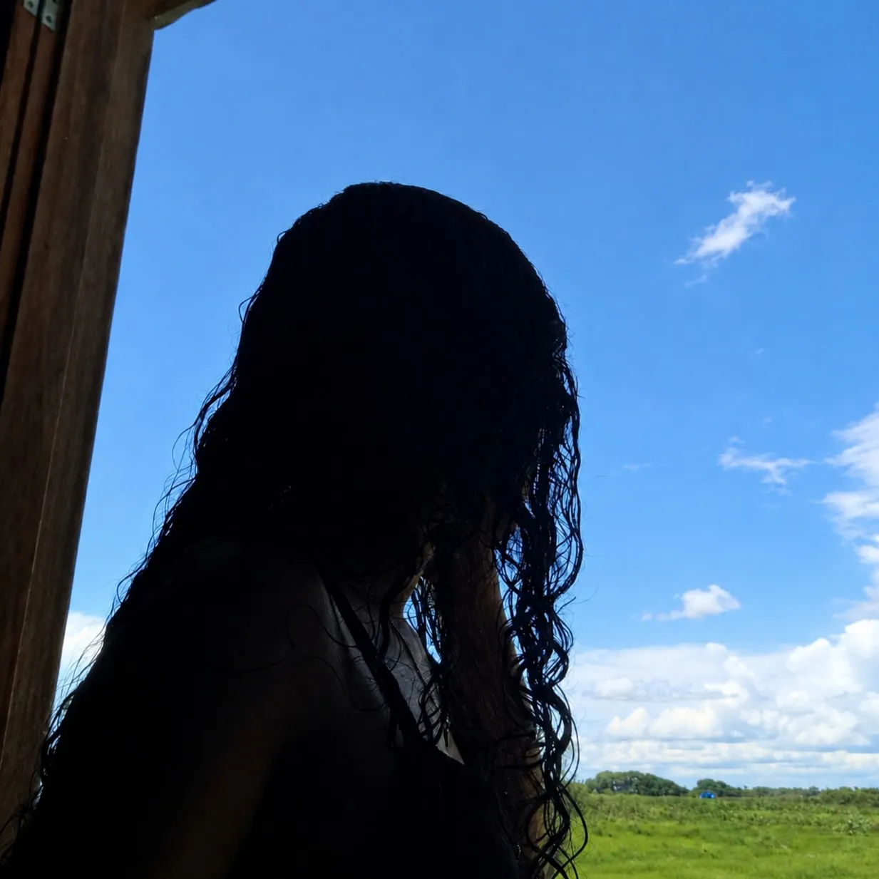 Larissa Brito Penha